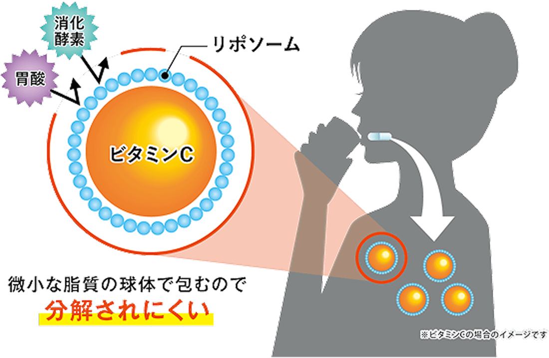 微小な資質の球体で包むので分解されにくい