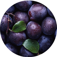 プルーン