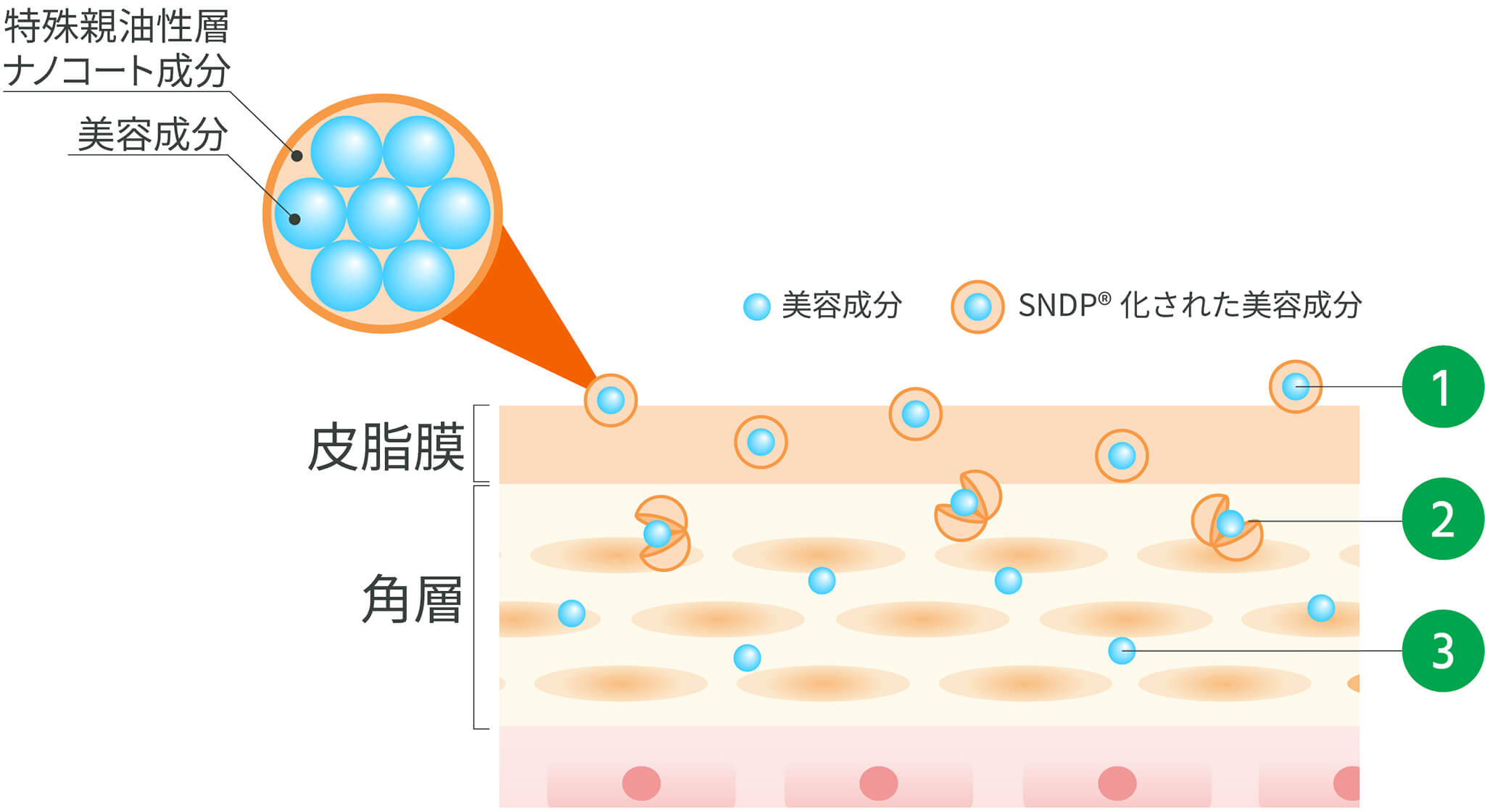 SNDP®技術のしくみ