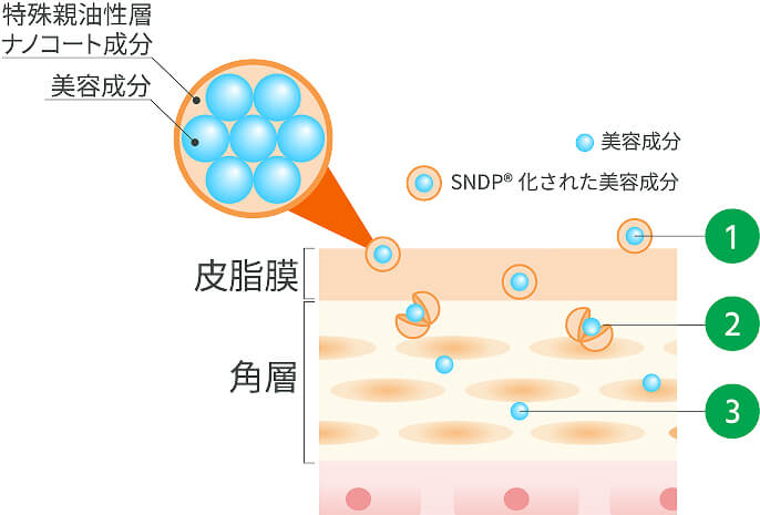 SNDP®技術のしくみ